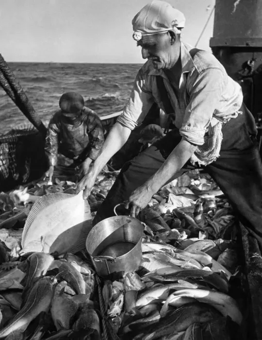 Framed Print : No queues here but more dangers Jack George ships cook to one of the East Coast Fishing Framed Print : No queues here but more dangers Jack George ships cook to one of the East Coast Fishing
