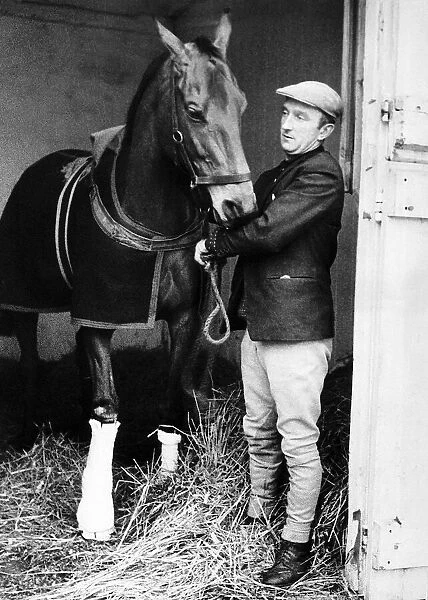 Racehorse Arkle with his leg in plaster in his stable at Kempton with jockey Paddy Woods