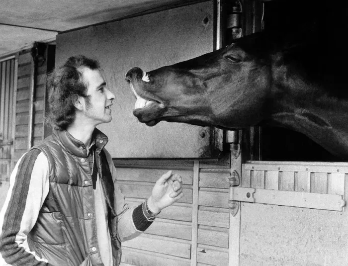 Framed Print : Racehorse Black Minstrel waits for a kiss from stable lad Howard Thomas at Duncan
