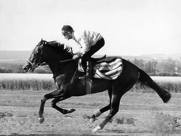 Racehorse Dancing Brave seen here training. May 1986