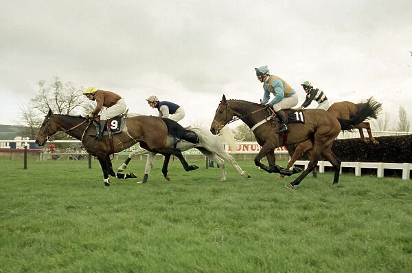 Racehorse Desert Orchid during the Cheltenham Gold Cup race 15th March 1990