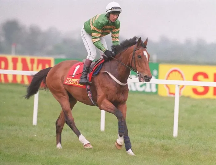 Framed Print : Racehorse Istabraq and jockey Charlie Swan at Punchestown