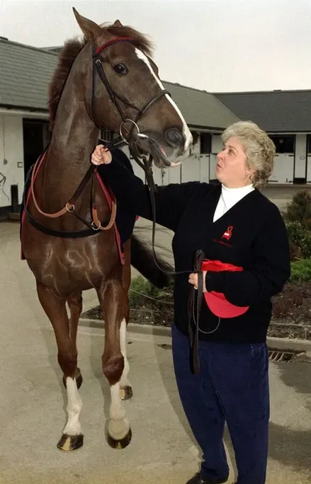 Framed Print : Racehorse trainer Jenny Pitman with Cheltenham Gold Cup hopeful Royal Athlete