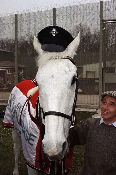 Racing legend Desert Orchid visits inmates at Ashwell Prison, Leicestershire