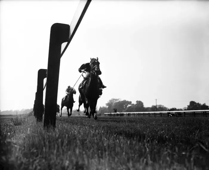 Framed Print : Racing at Windsor. Lester Piggott riding Copernic into 3rd place in the 3 Framed Print : Racing at Windsor. Lester Piggott riding Copernic into 3rd place in the 3