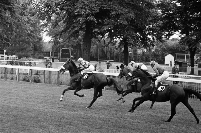 Framed Print : Racing at Windsor race course. 30th July 1962 Framed Print : Racing at Windsor race course. 30th July 1962