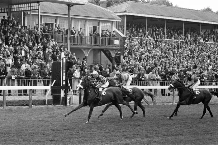 Framed Print : Racing at Windsor race course. 30th July 1962 Framed Print : Racing at Windsor race course. 30th July 1962