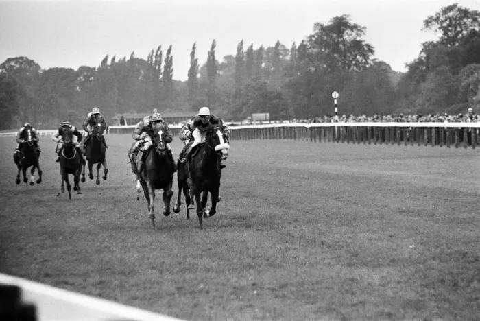 Framed Print : Racing at Windsor race course. 30th July 1962 Framed Print : Racing at Windsor race course. 30th July 1962