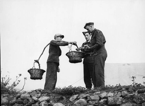 The RAF in the Azores, Portugal. Buying oranges from a local vendor. February 24, 1944