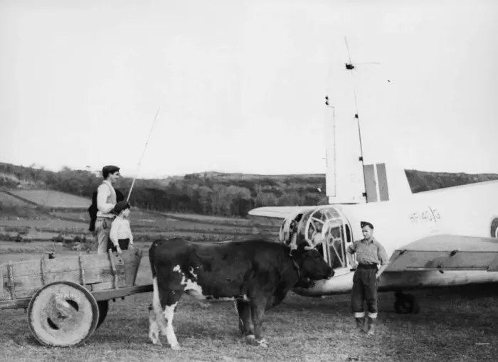 Framed Print : An RAF mechanic, working on a Coastal Command Wellington at the base in the Azores Framed Print : An RAF mechanic, working on a Coastal Command Wellington at the base in the Azores