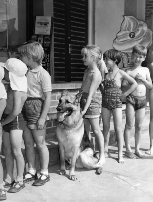 Framed Print : Ranger waits his turn with the children who have shared his secret for so long