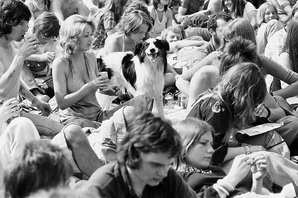 Reading Pop Festival. Festival goers with their pet dog watching the bands
