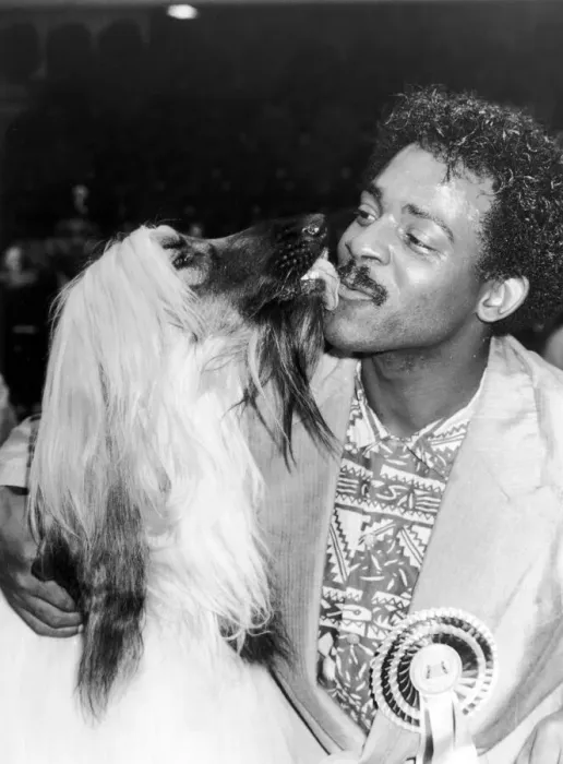 Framed Print : The Real Thing lead singer Chris Amoo seen here shortly after his Afghan hound Viscount Framed Print : The Real Thing lead singer Chris Amoo seen here shortly after his Afghan hound Viscount