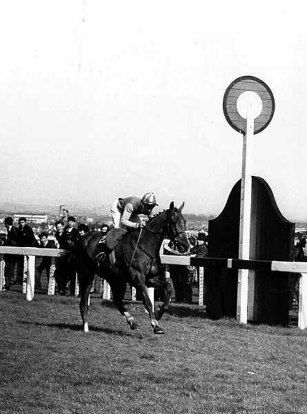 Red Alligator and Brian Fletcher win Grand National. 1968