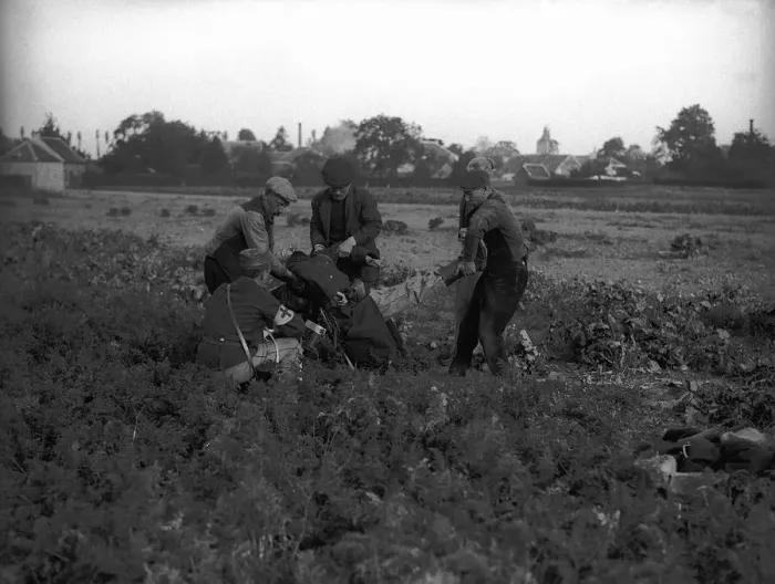 Framed Print : Red Cross worker and peasants lift a casualty from trenches Framed Print : Red Cross worker and peasants lift a casualty from trenches