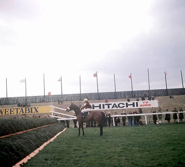 Red Rum and jockey Tommy Stack check the 1st fence before the world-famous chase at