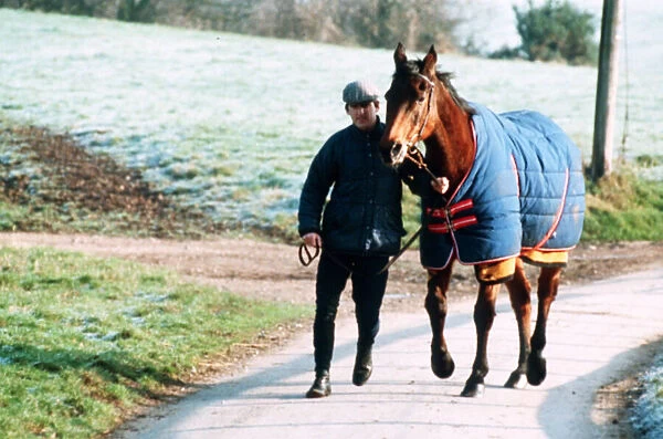 Red Rum racehorse 1992