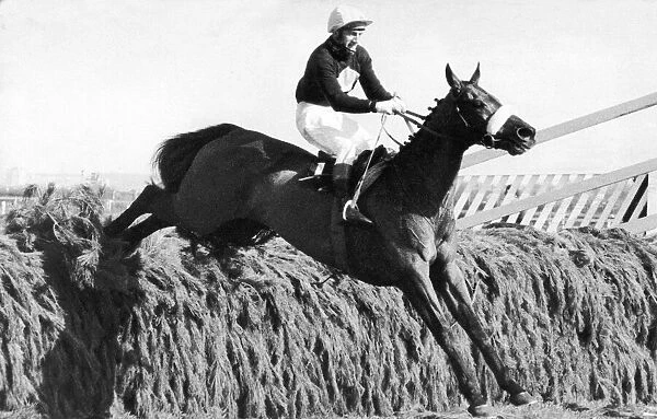 Red Rum at full stretch as he jumps over fence on his way to winning the Grand National