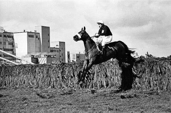 Red Rum winning the 1977 Grand National with Jockey Tommy Stack. 2nd April 1977