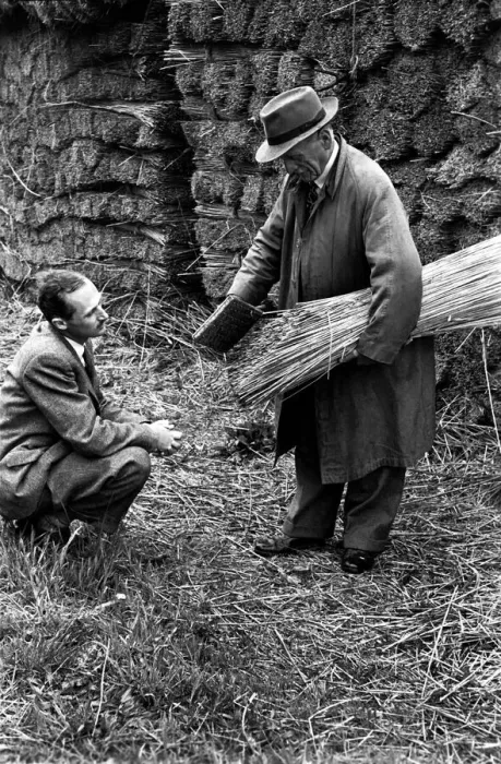 Framed Print : Reed Cutter on the Norfolk broads. June 1952 C3019 Framed Print : Reed Cutter on the Norfolk broads. June 1952 C3019
