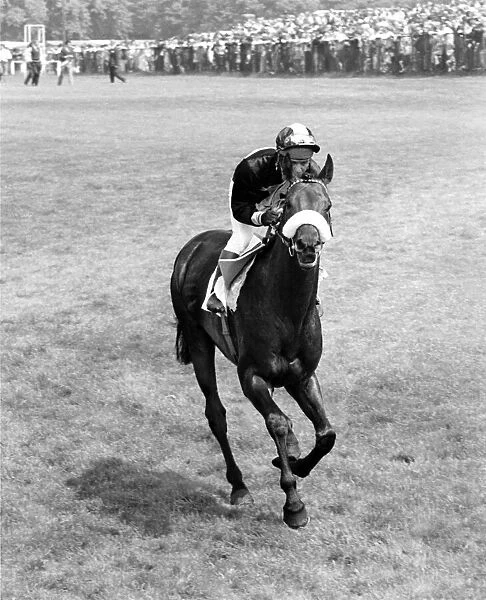 Mill Reef the wonder horse that earned over $300, 000 in prize money comes galloping home