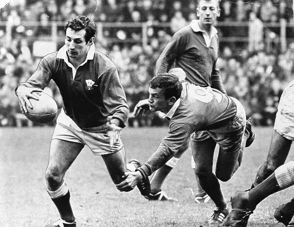 Referee Mike Titcomb watches as the Irish scrum-half Roger Young tries to catch Welsh