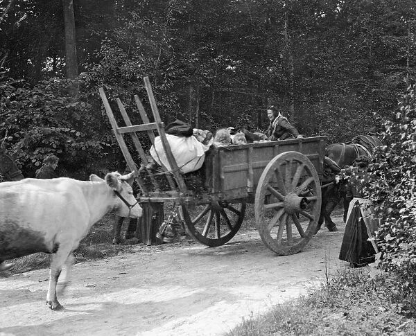Refugees from the advancing German Army seen here on the road to Brussels