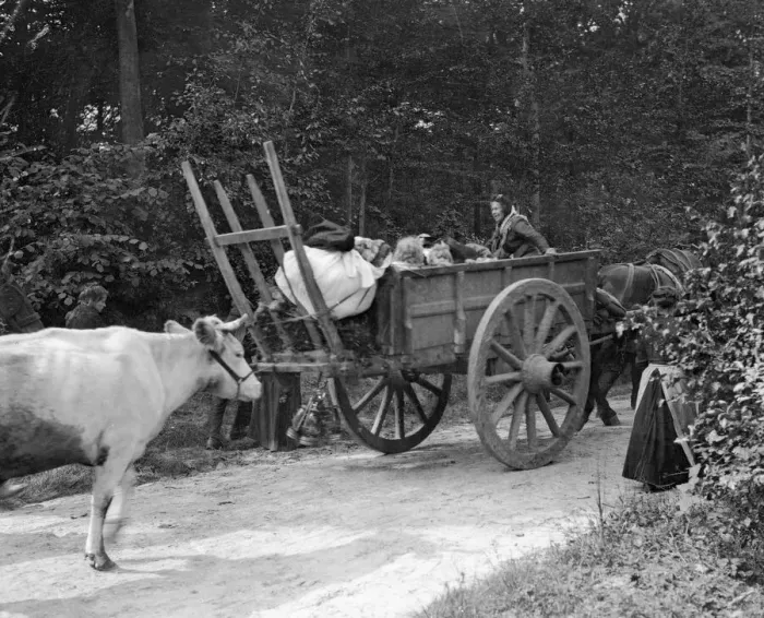 Framed Print : Refugees from the advancing German Army seen here on the road to Brussels Framed Print : Refugees from the advancing German Army seen here on the road to Brussels