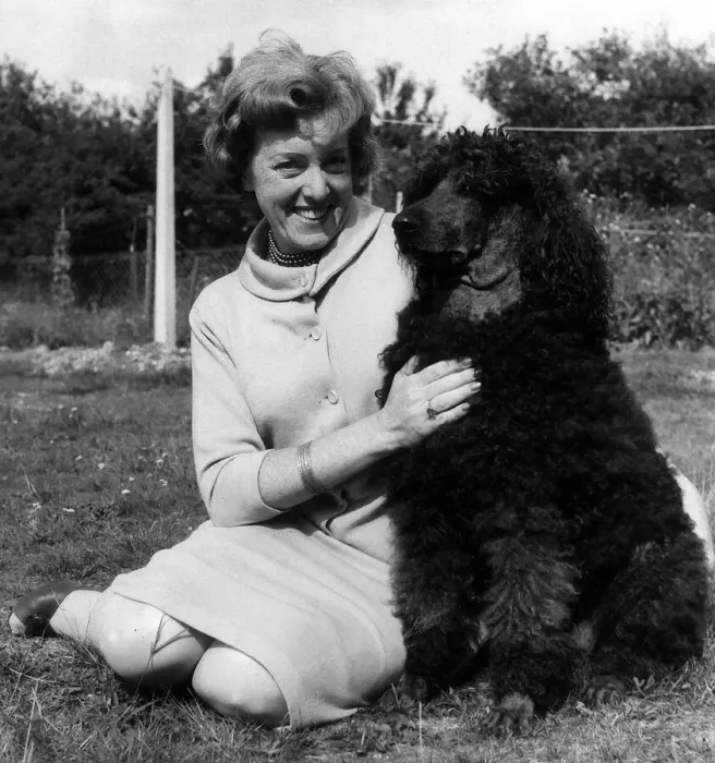Framed Print : Renee Short Labour Candidate with Feathers one of her show Poodles