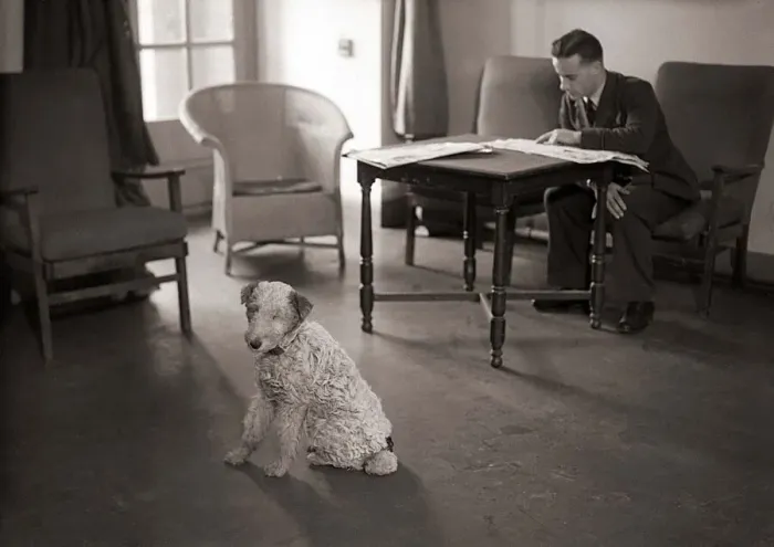 Framed Print : The reserve Rattray Head lighthouse keeper reads his newspaper as his dog stands guard