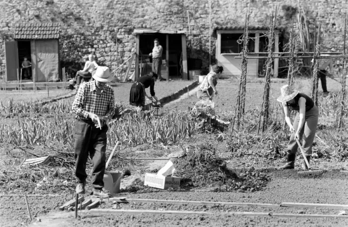 Framed Print : Residents of Luxembourg City seen here tending their allotments. Luxembourg