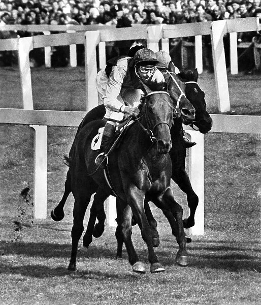 Ribocco (left) wins the 1967 St. Leger race at Doncaster. September 1967 P009661