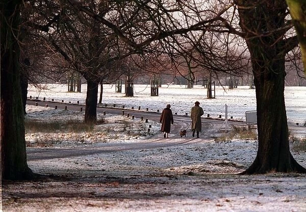 Richmond Park London in snow