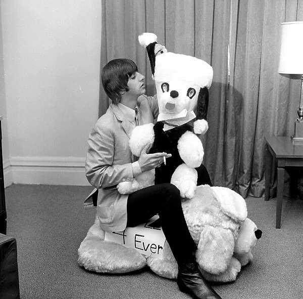 Ringo Starr, pictures in his New York hotel room, with a gigantic stuffed toy animal