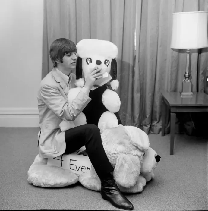Framed Print : Ringo Starr, pictures in his New York hotel room, with a gigantic stuffed toy animal Framed Print : Ringo Starr, pictures in his New York hotel room, with a gigantic stuffed toy animal