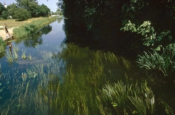 The River Kennet near Aldermaston