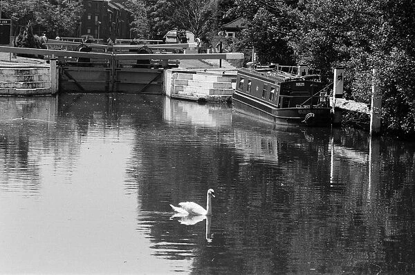 The River Kennet, Reading, Berkshire. 12th June 1992
