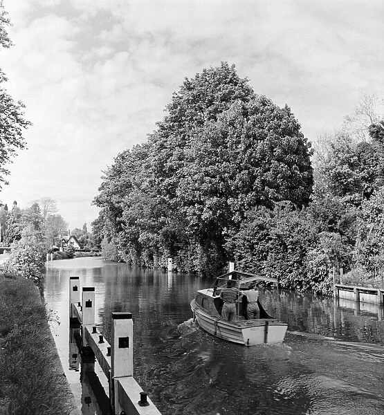 River scenes in Maidenhead, Berkshire. June 1954