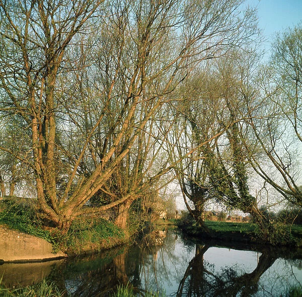 The River Thames at Radcot, Berkshire. 1973