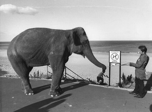 Robert Raven walks an elephant on the beach at Tynemouth from Gerry Cottle Circus