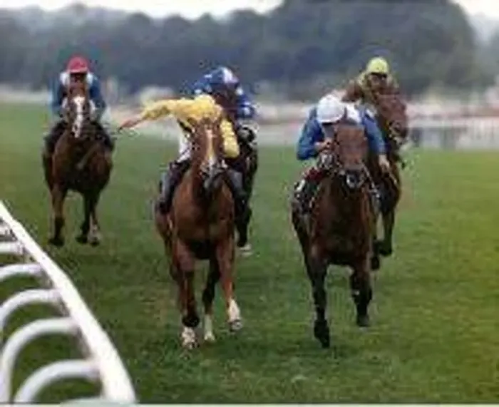  : Rock Hopper right wins the Hardwicke Stakes beating Sapience (left
