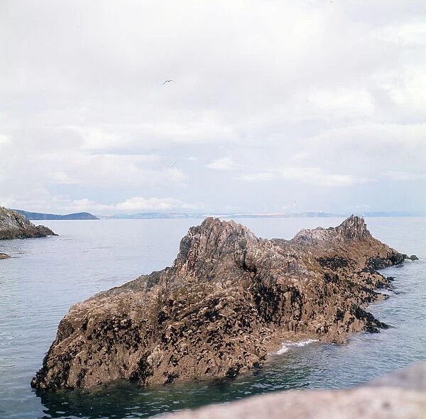Rocks outside Mevagissey Harbour, Cornwall. 1973