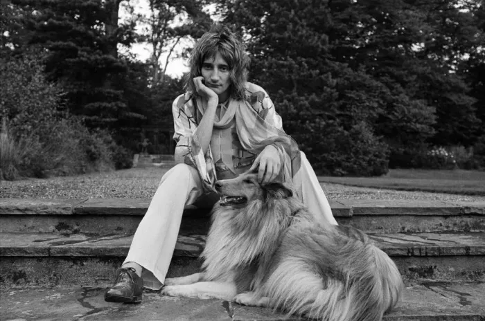 Framed Print : Rod Stewart in the garden of his home at Windsor, Berkshire. 15th August 1973 Framed Print : Rod Stewart in the garden of his home at Windsor, Berkshire. 15th August 1973