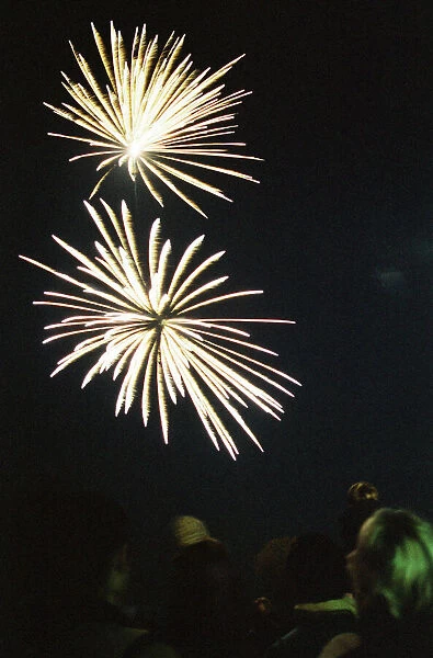 Round Table Fireworks, Kings Meadow park, Reading, Berkshire, 3rd November 1990