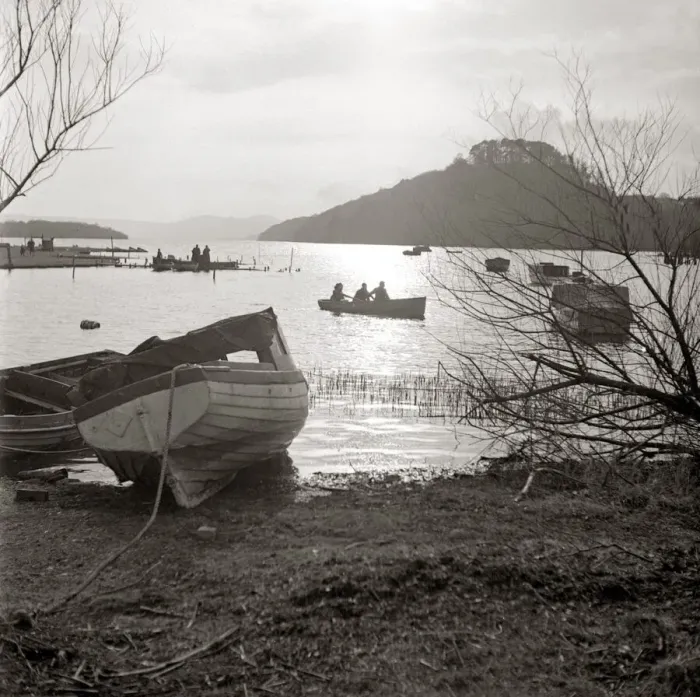 Framed Print : Rowing boats on scenic lake Row boat moored ashore by lakeside Wooded hill in Framed Print : Rowing boats on scenic lake Row boat moored ashore by lakeside Wooded hill in