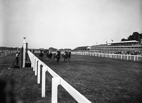 Royal Ascot 1955, finish of the 3. 5 2nd Race, The New Two Year Old Stakes (5 furlongs)