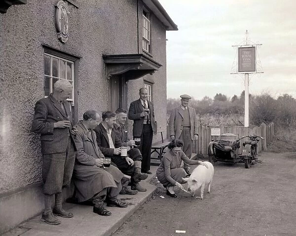 The Royal Oak Pig Public House Pub - 1953 Locals outside the pub look on as