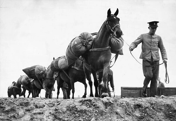 The Royal Veterinary Corps. C York, an English boy from a French racing stable
