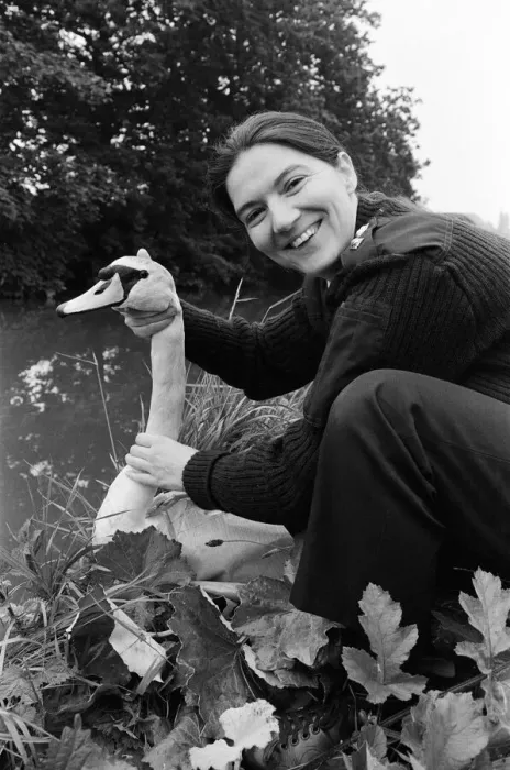 Framed Print : RSPCA Chief Inspector Sue Stafford returns an injured swan back to Chester canal