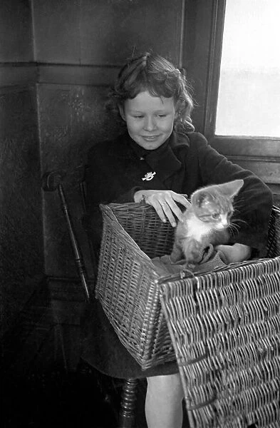 RSPCA Hospital. little girl with her sickly cat wait to see the vets